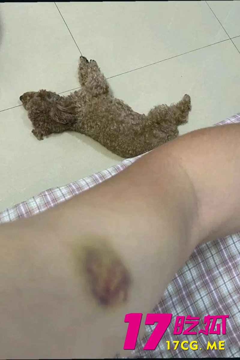 DM_20260711004111_017_副本.jpg DM_20260711004111_017_副本.jpg